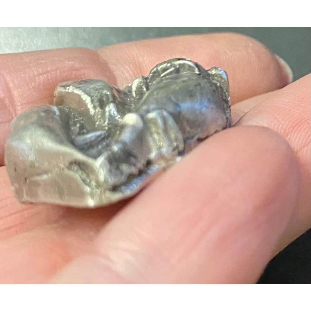 1.3 Troy Oz MK BarZ Vampire Lips 2D Sand Cast Relief.999 FS