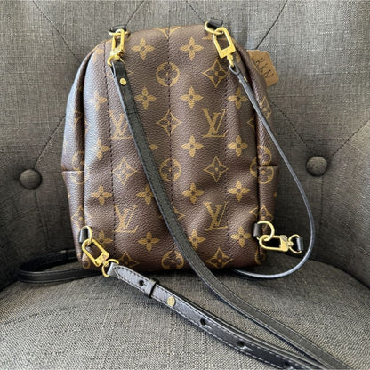 Louis Vuitton Palm Springs Mini Monogram Backpack