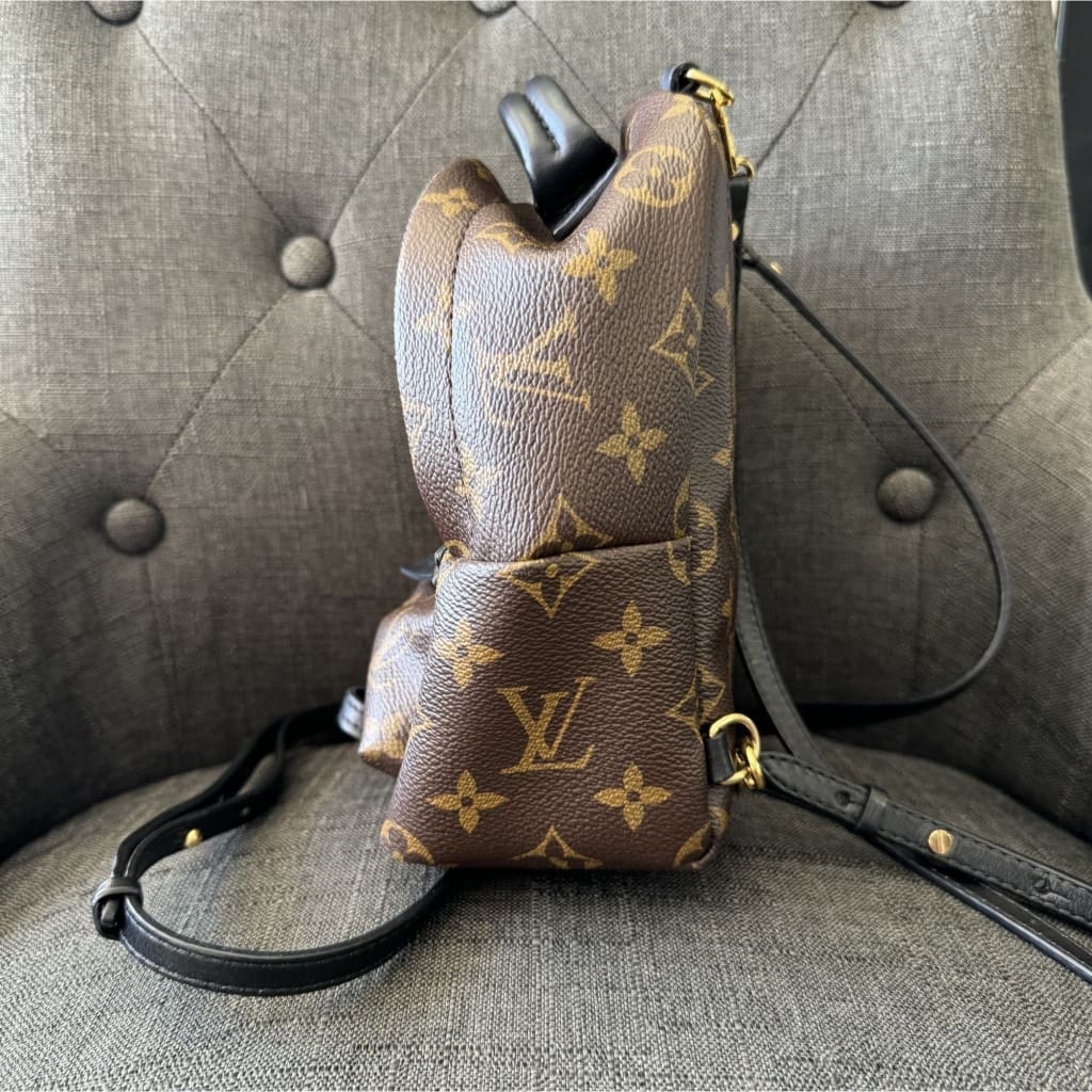 Louis Vuitton Palm Springs Mini Monogram Backpack