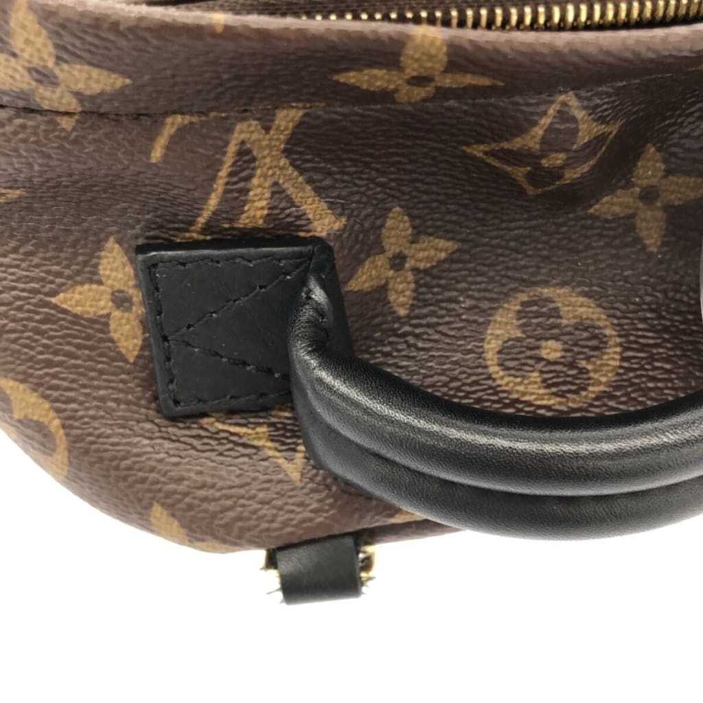 Louis Vuitton Palm Springs Mini Monogram Backpack