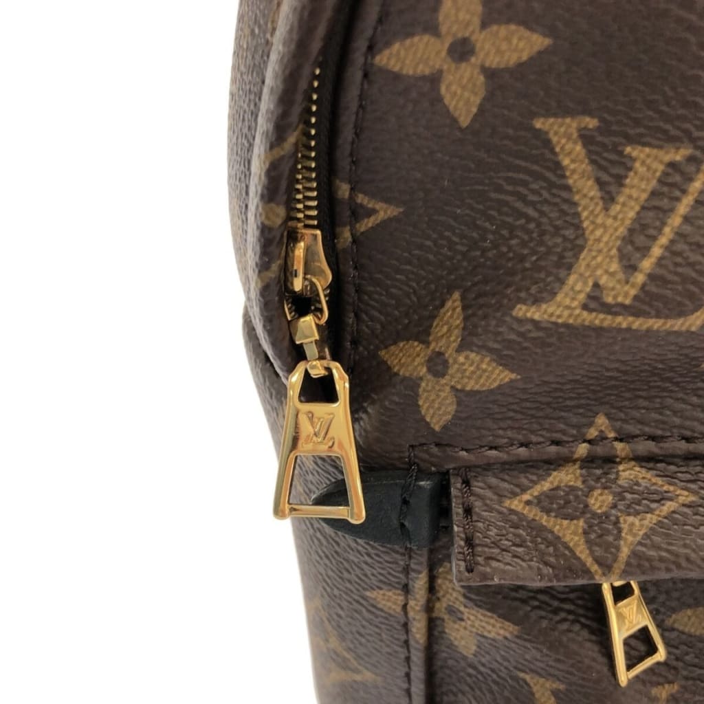 Louis Vuitton Palm Springs Mini Monogram Backpack