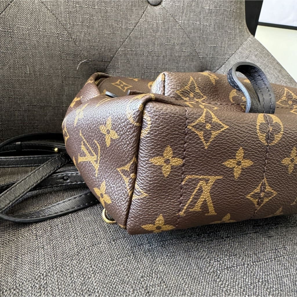 Louis Vuitton Palm Springs Mini Monogram Backpack