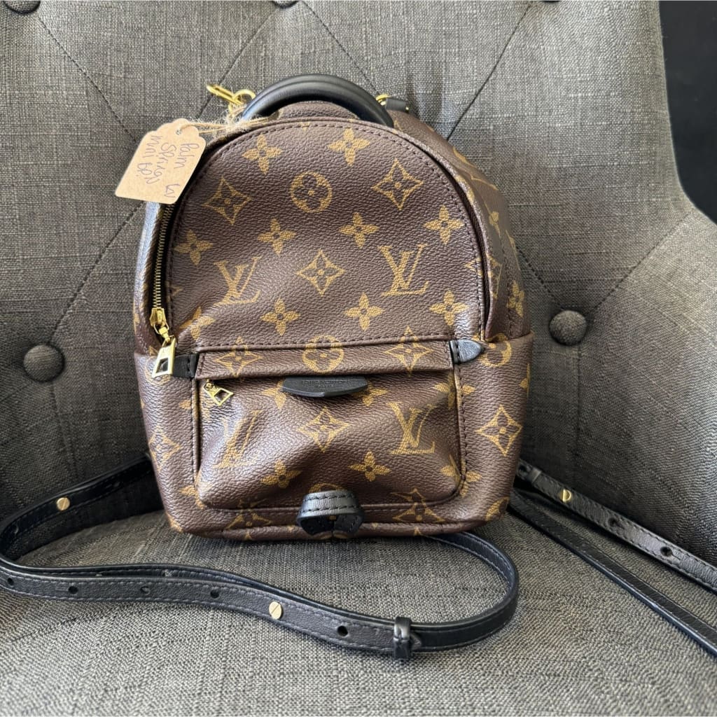 Louis Vuitton Palm Springs Mini Monogram Backpack