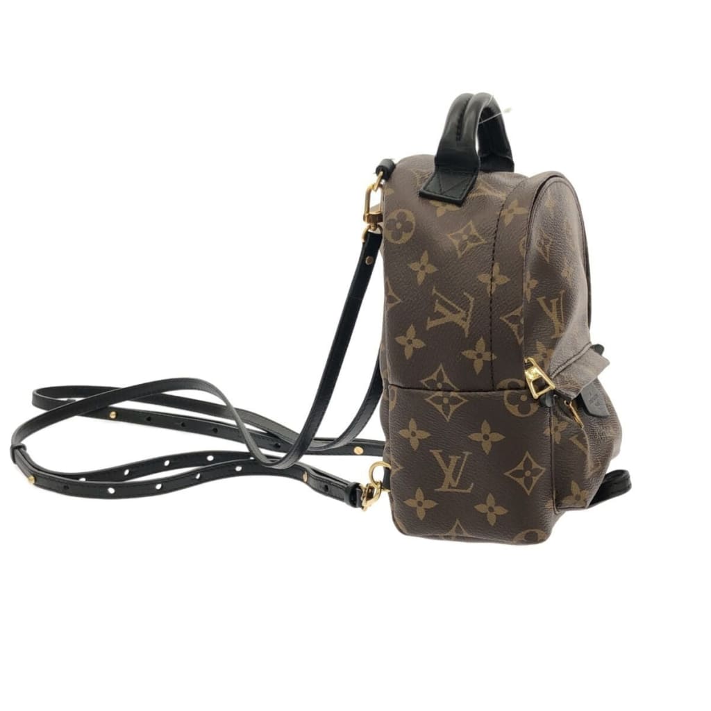 Louis Vuitton Palm Springs Mini Monogram Backpack