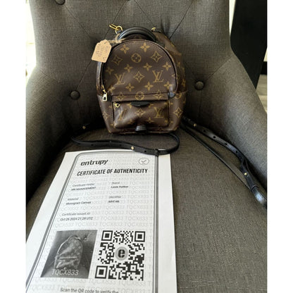 Louis Vuitton Palm Springs Mini Monogram Backpack