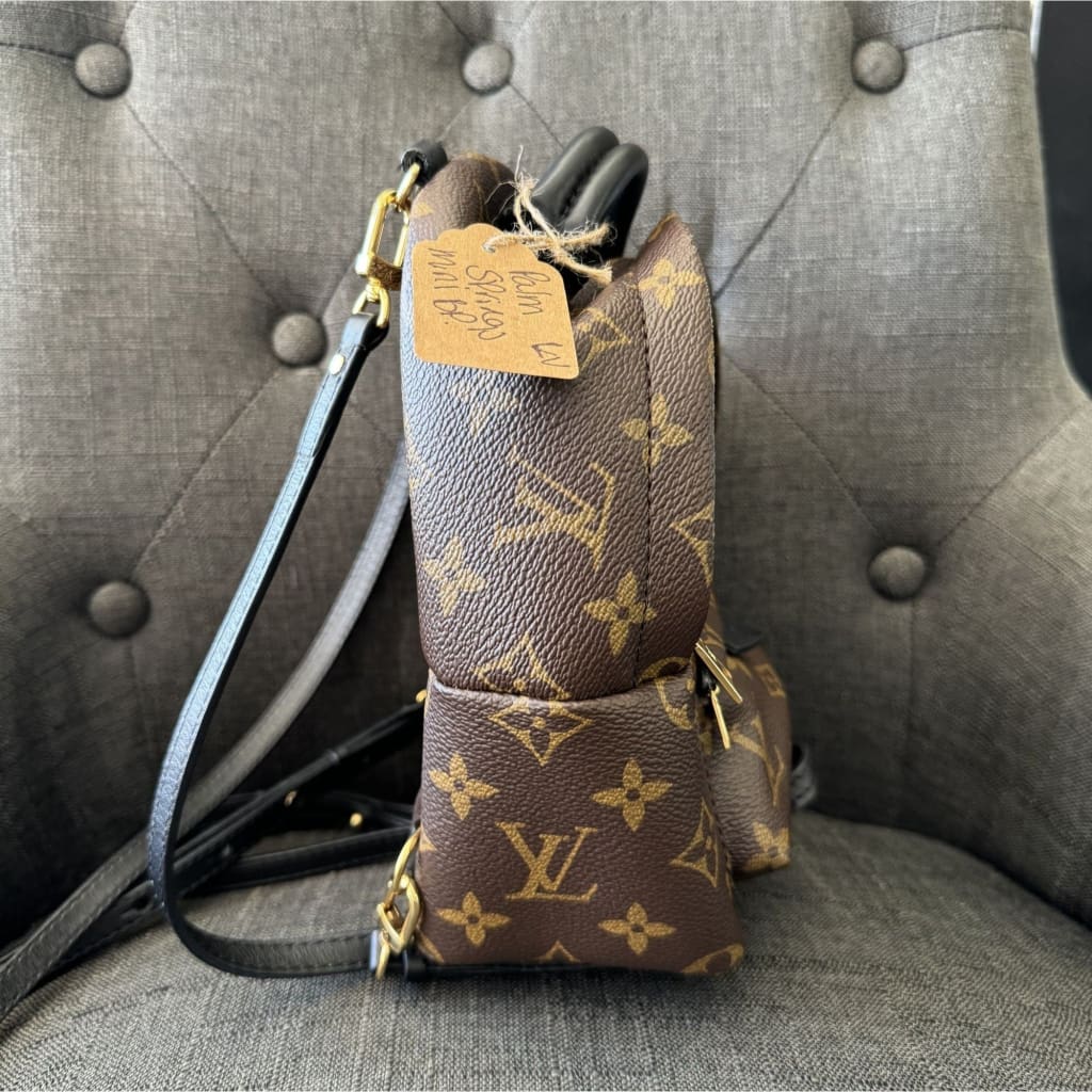 Louis Vuitton Palm Springs Mini Monogram Backpack