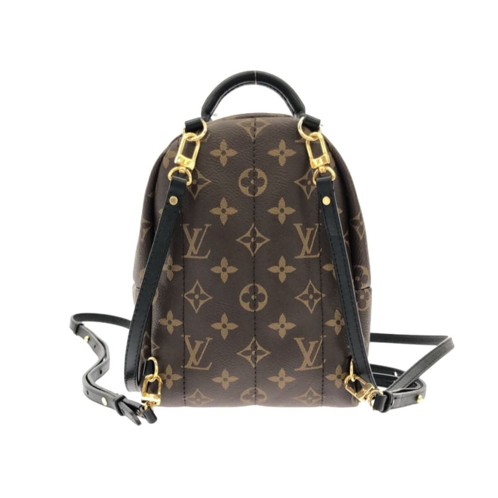 Louis Vuitton Palm Springs Mini Monogram Backpack