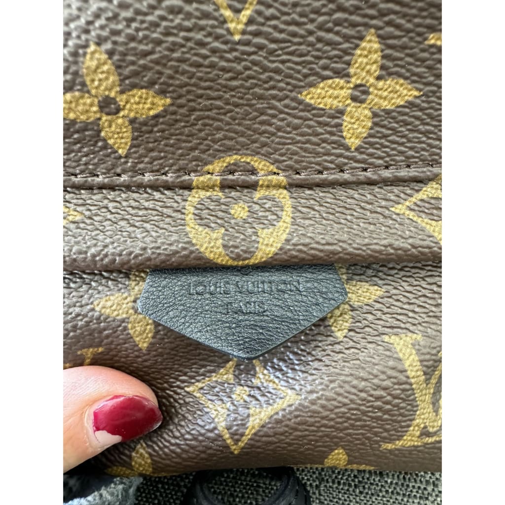 Louis Vuitton Palm Springs Mini Monogram Backpack