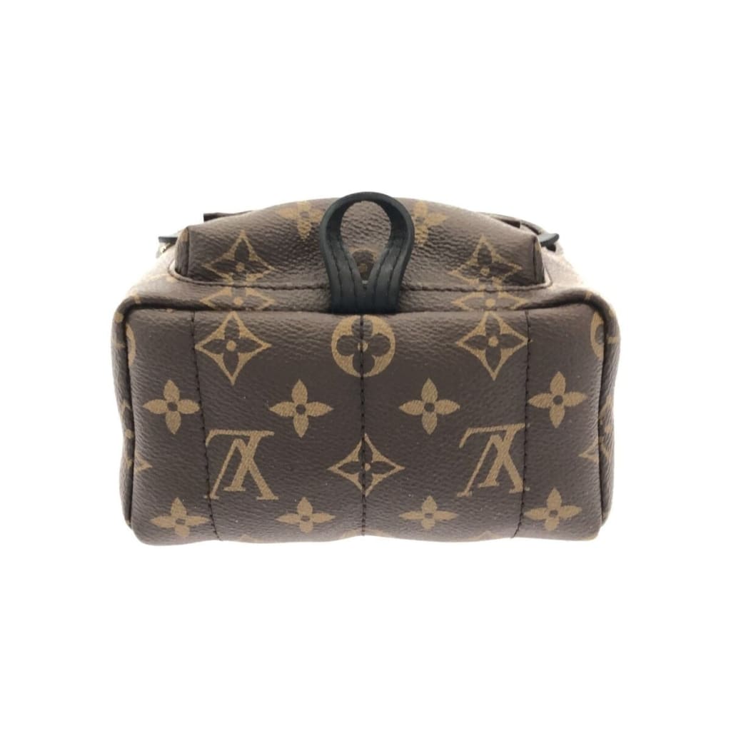 Louis Vuitton Palm Springs Mini Monogram Backpack